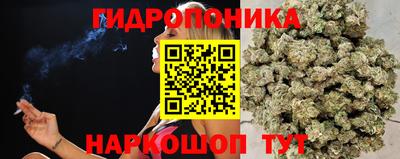 скорость Мирный