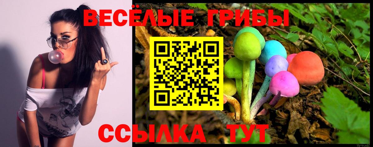 Галлюциногенные грибы прущие грибы Кострома