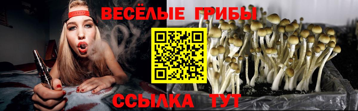 Галлюциногенные грибы GOLDEN TEACHER  Вход с VPN  Кострома 